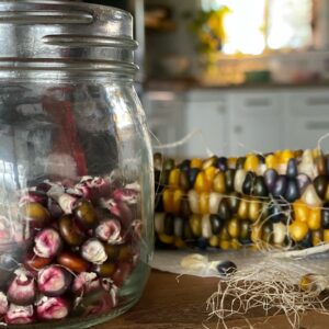 Glass Gem Corn - Image 8