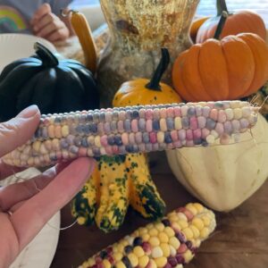 Glass Gem Corn - Image 9
