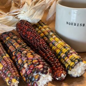 Glass Gem Corn