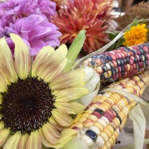 Glass Gem Corn - Image 3