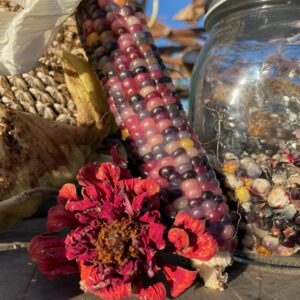 Glass Gem Corn - Image 4