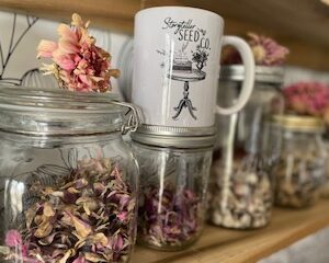 Storyteller mug - Image 7