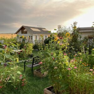 Farm to Fork Event - Image 16