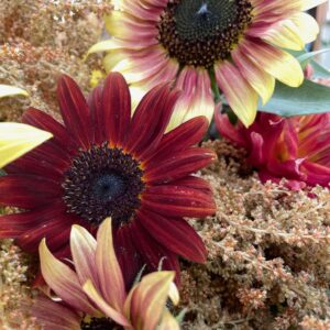 Autumn Sunflower Mix - Image 2